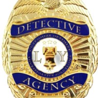 LY Detectives PI Services logo - Similar company to Complete People Services