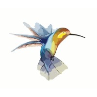 Ooty logo - Similar company to Mcgan'S Ooty School Of Architecture