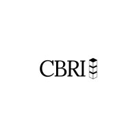 CBDC Blockchain Research Institute (CBRI) logo - Similar company to Autosemantics