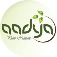 AADYA Resort logo - Similar company to Common Courtesy