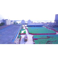 Dubai Bangla LP Gas Ltd. logo - Similar company to Aura Dubai