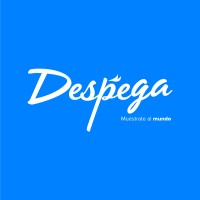 Despega logo - Similar company to Jota Store