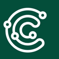 CoinCarve logo - Similar company to Crypto Quant
