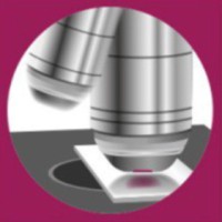 MVZ Labor PD Dr. Volkmann und Kollegen SE & Co. eGbR logo - Similar company to Biochem Labor Für Biologische Und Chemische Analytik Gmbh