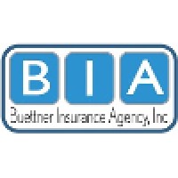 Buettner Insurance Agency, Inc. logo - Similar company to Plug It In Systems Inc