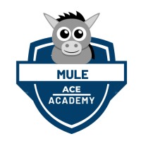 Mule Ace Academy logo - Similar company to Mulesoft Station