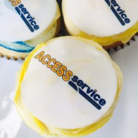 Access Service Australia logo - Similar company to Banovic Pools