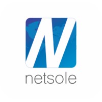 Netsole logo - Similar company to Dankash Us