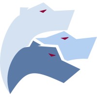 Cerbelux Oy logo - Similar company to Bag Electronics Gmbh