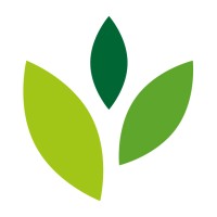 Wilderness International Kindergarten logo - Similar company to Spring Learning Centre