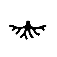 Fuego Camiare logo - Similar company to Made2