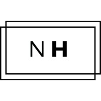 NicheHype IT Services logo - Similar company to Creativision Technology