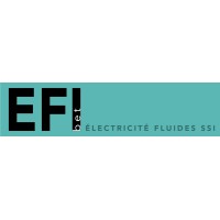EFI bet logo - Similar company to Cabelef