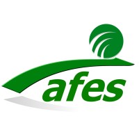 AFES, LLC