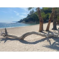 GB logo - Similar company to Elit Certification