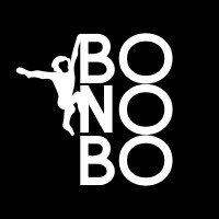 Bonobo Software logo - Similar company to Bonobo