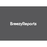 BrezzyReports logo - Similar company to Stackedreports