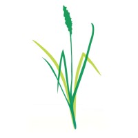 Ramstead Ranch, LLC logo - Similar company to Cdl Consultant, Inc.