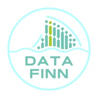 Data Finn logo - Similar company to Wellconnector