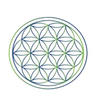 XYiP Homes, LLC logo - Similar company to Ginosko Construction