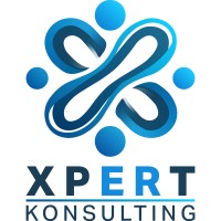 Xpert Konsulting logo - Similar company to Dwebops
