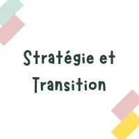 Stratégie Et Transition