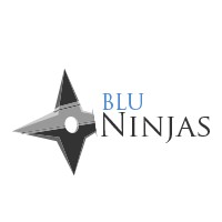 Blu Ninjas logo - Similar company to Smartpriced Analytics