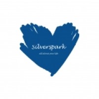 Silverspark logo - Similar company to Rahul Solutions : Best Web Designing & Digital Marketing Agency In Jharkhand