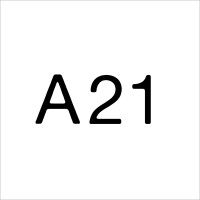 A21 Architecture + Design logo - Similar company to Studio B Architecture + Interiors