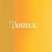 Domix Serviços logo - Similar company to Remate Serviços