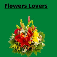 flowers business plan logo - Similar company to Tongxing Flat Knitting Machines
