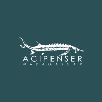 Acipenser Madagascar logo - Similar company to Publique