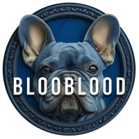 BLOOBLOOD logo - Similar company to Lumina Strategy & Creativity