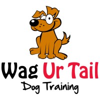 Wag Ur Tail Dog Training