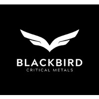 Blackbird Critical Metals Corp. logo - Similar company to Raindrop Ventures (Cse: Rayn) (Fse: Rv0)