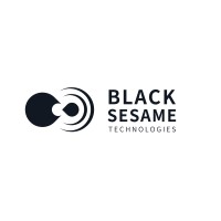 Black Sesame Technologies (Singapore) Pte Ltd logo - Similar company to Leadtop