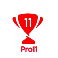 Pro11 logo - Similar company to Pro1