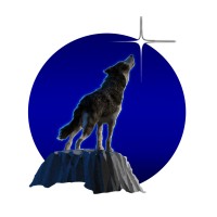 Morning Star Pictures logo - Similar company to Morningstar Entertainment