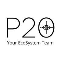 P20 logo - Similar company to Puissance 20 Bourges