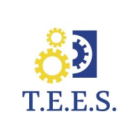 TEES srl logo - Similar company to Denso Engineering Srl