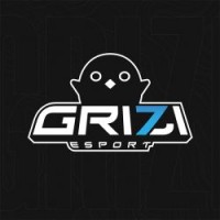 Grizi Esport logo - Similar company to Jlingz Ltd