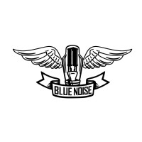 Blue Noise Audio logo - Similar company to Blue Noise Studios