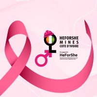 HeForShe Mines Côte d'Ivoire logo - Similar company to Méga Travaux Publlics Et Particuliers