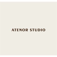 ATENOR STUDIO logo - Similar company to Am151