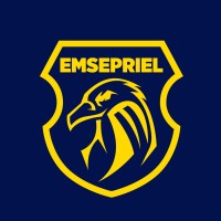 Emsepriel Cia Ltda. logo - Similar company to Corpriseg - Seguridad Y Vigilancia Privada