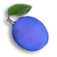 Blue Plum Software logo - Similar company to Capital Dodge