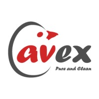 Avex Egg logo - Similar company to Emre Piliç