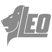Leo Enterprises, LLC logo - Similar company to 5W&Co