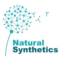 NATURAL SYNTHETICS LTD. logo - Similar company to Way Creative House