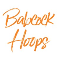 Babcock Hoops logo - Similar company to Pro Insight